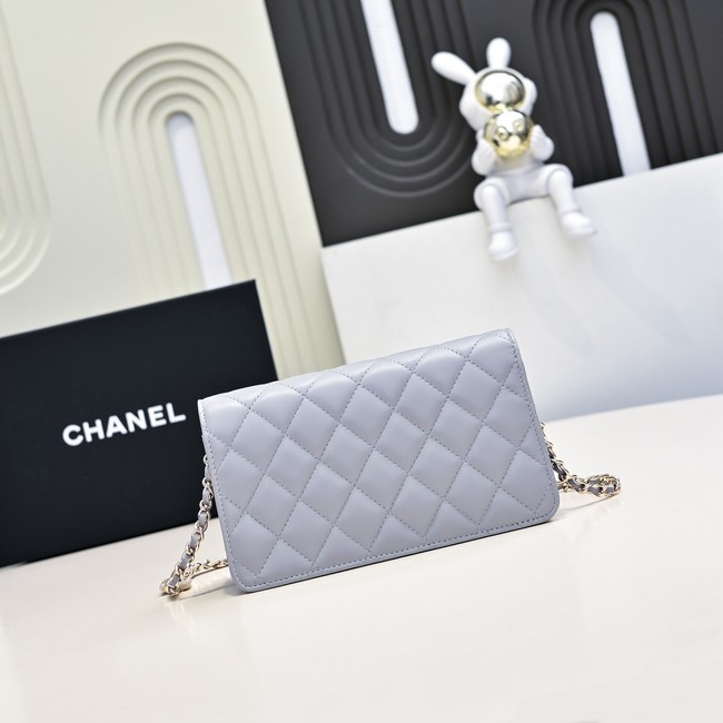 Chanel WALLET ON CHAIN AP4300 gray