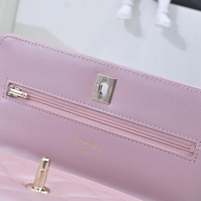 Chanel WALLET ON CHAIN AS4537 pink