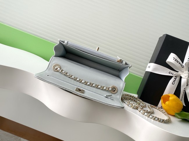 CHANEL Wallet On Chain AP4323 light gray