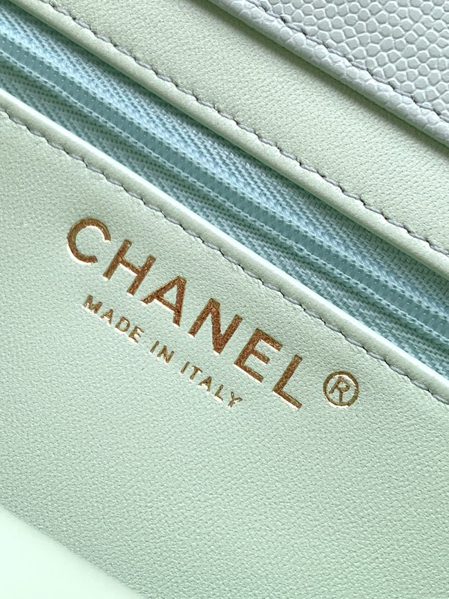 CHANEL Small Flap Bag AS6130 Light Green