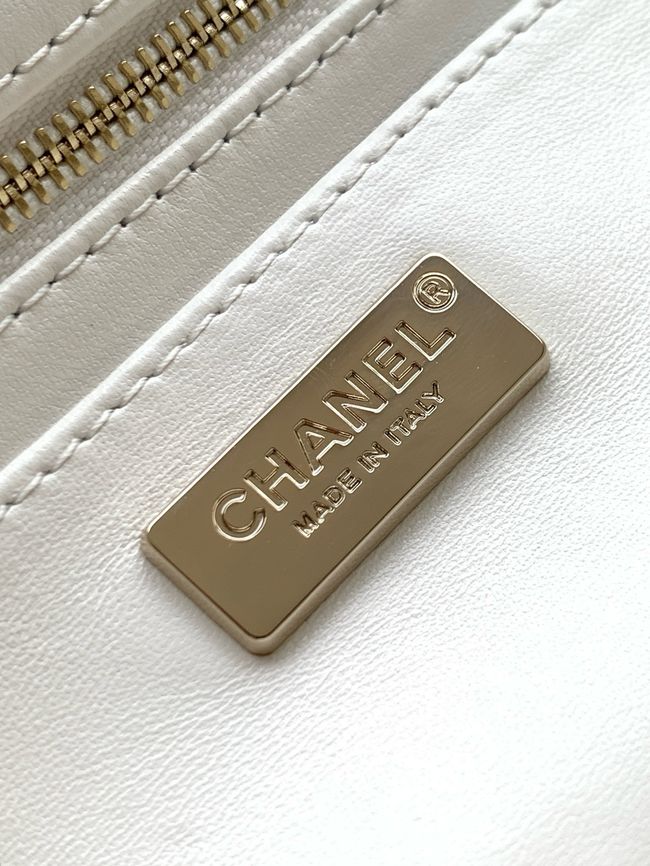 Chanel Small Flap Bag Embroidery AS4561 pink