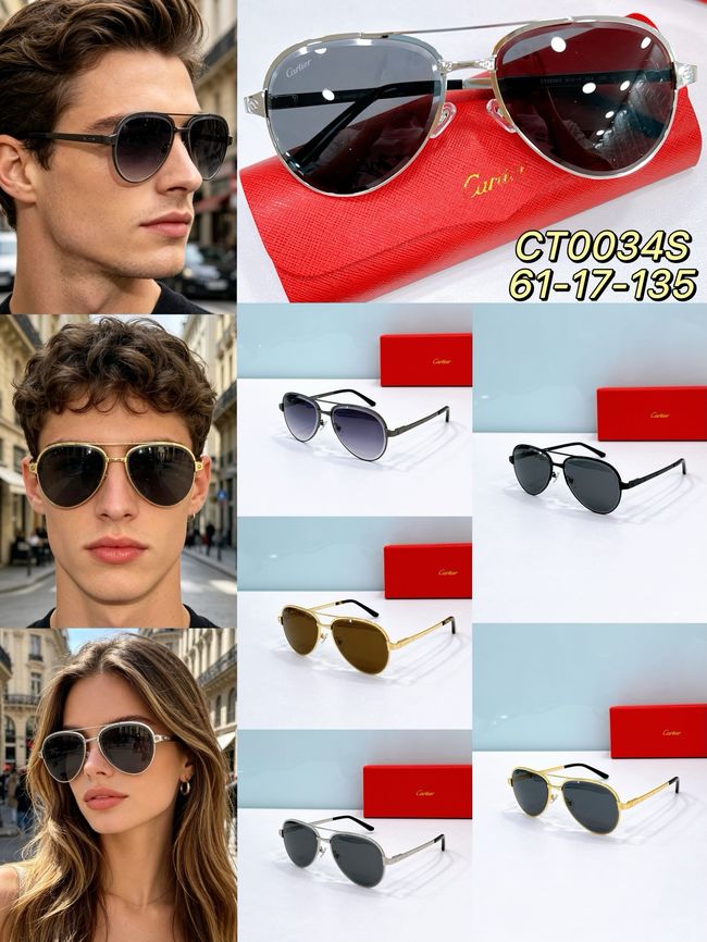 Cartier Sunglasses 821581-4 Cartier Sunglasses 821581-4