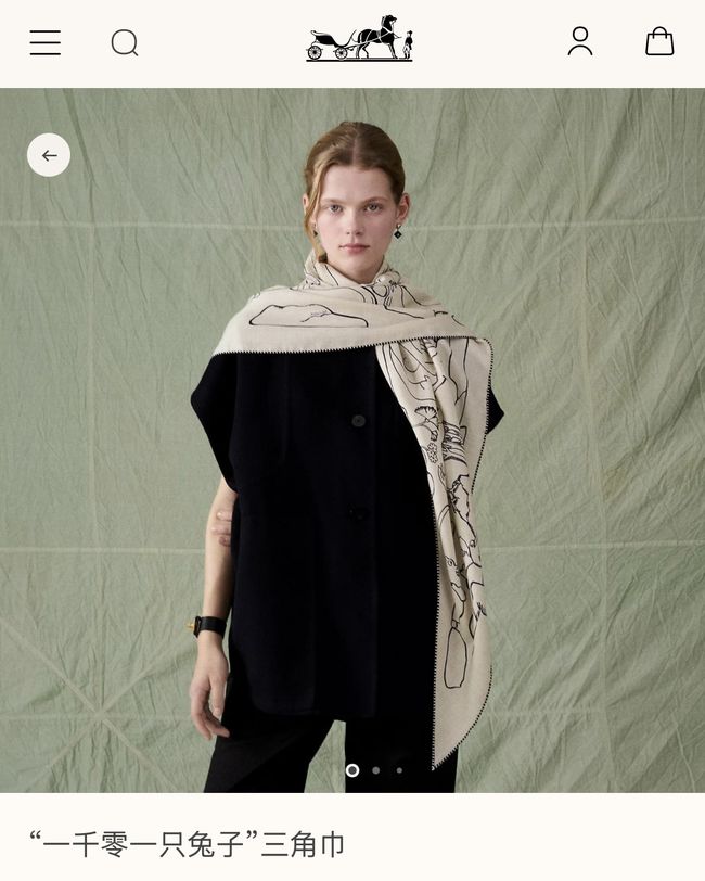 Hermes cashmere scarf H251527-1