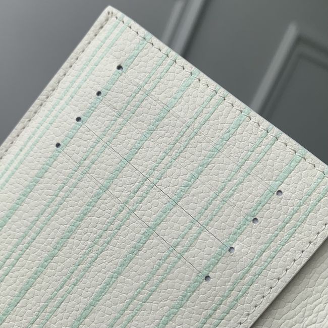 Louis Vuitton Passport Cover M2A004 Minty