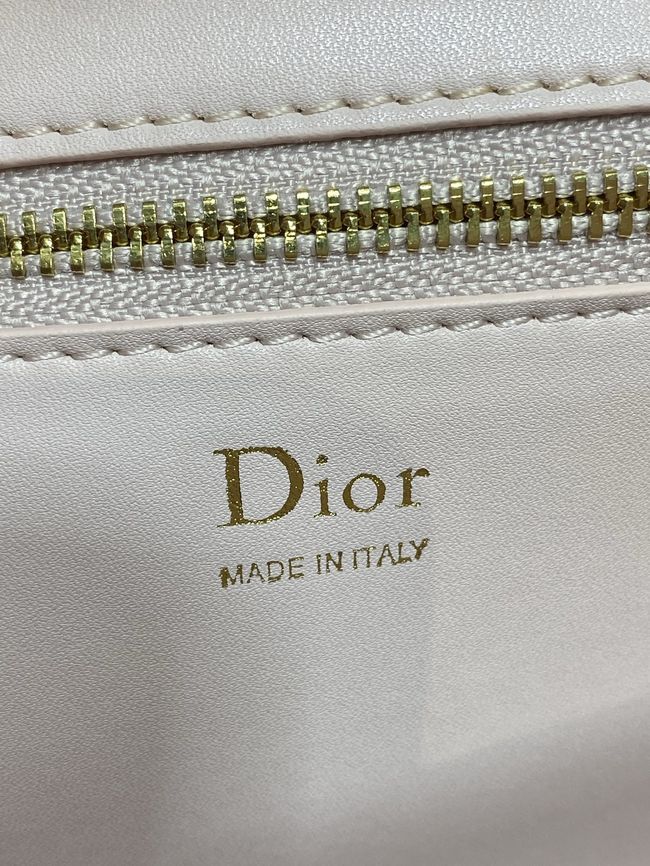 Dior Medaillon Pouch Ballet Pink Smooth Calfskin M3671