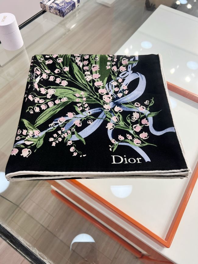 Dior Oblique Shawl L1168-2