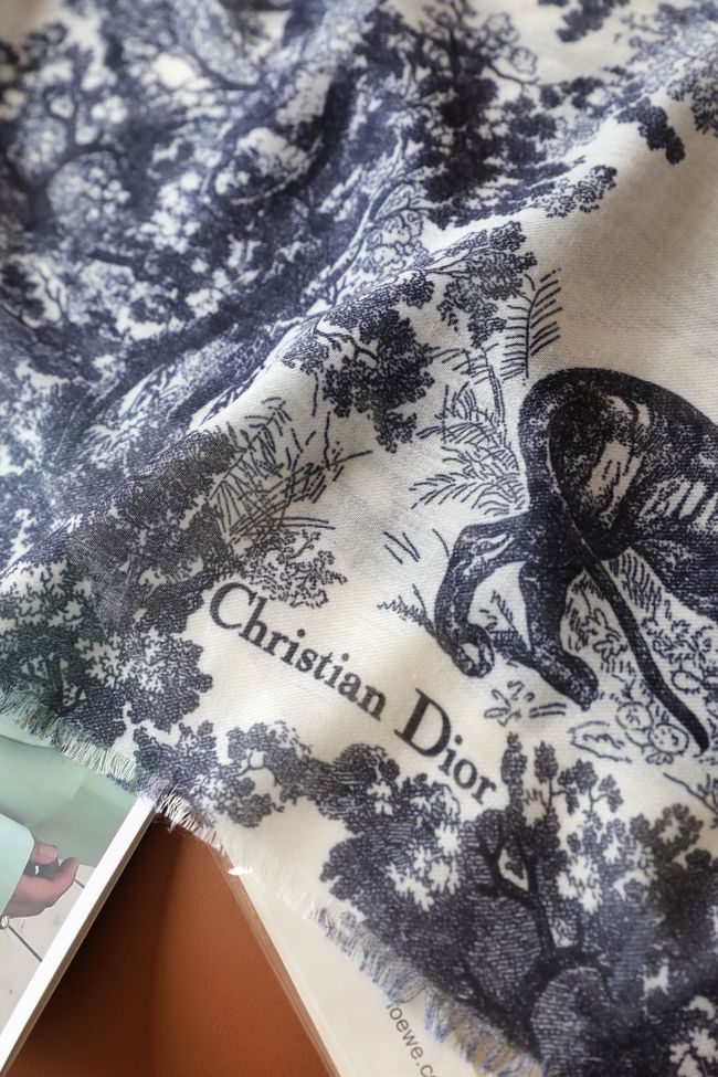 Dior Oblique Shawl L1169-1